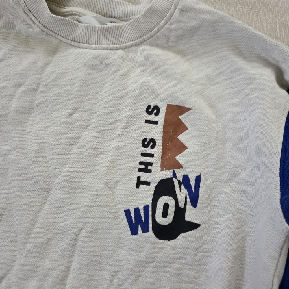 H&M Colorful Graphic "This Is Wow" Sweatshirt Kids 8/10 - Picture 4 of 7